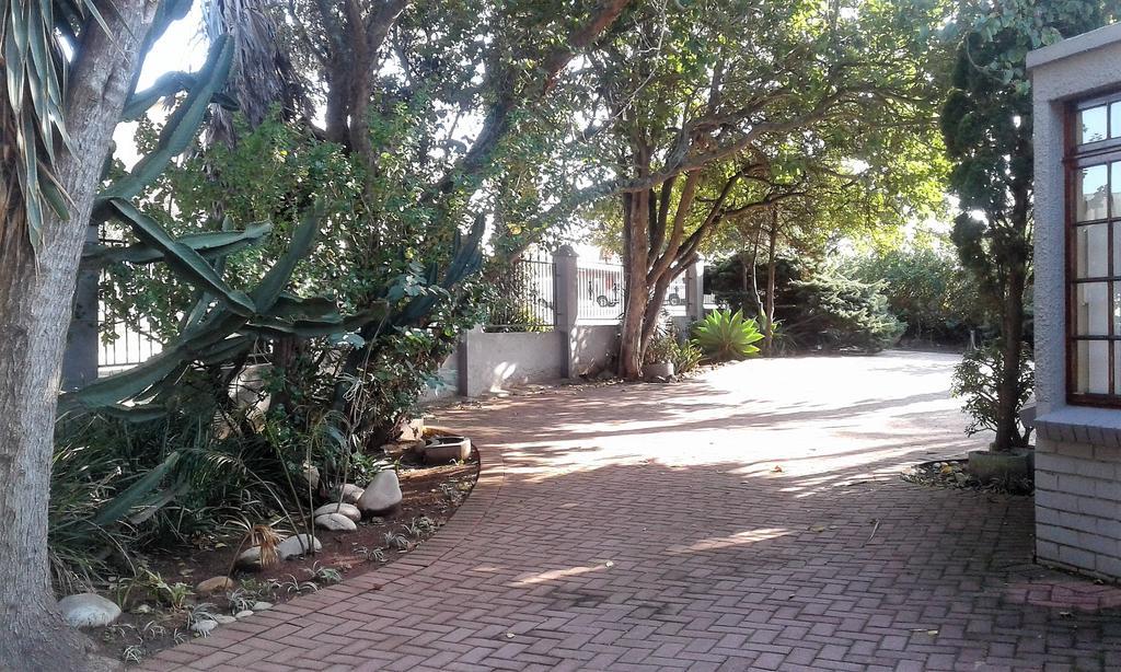 Amanzi Guest House Port Elizabeth Ngoại thất bức ảnh